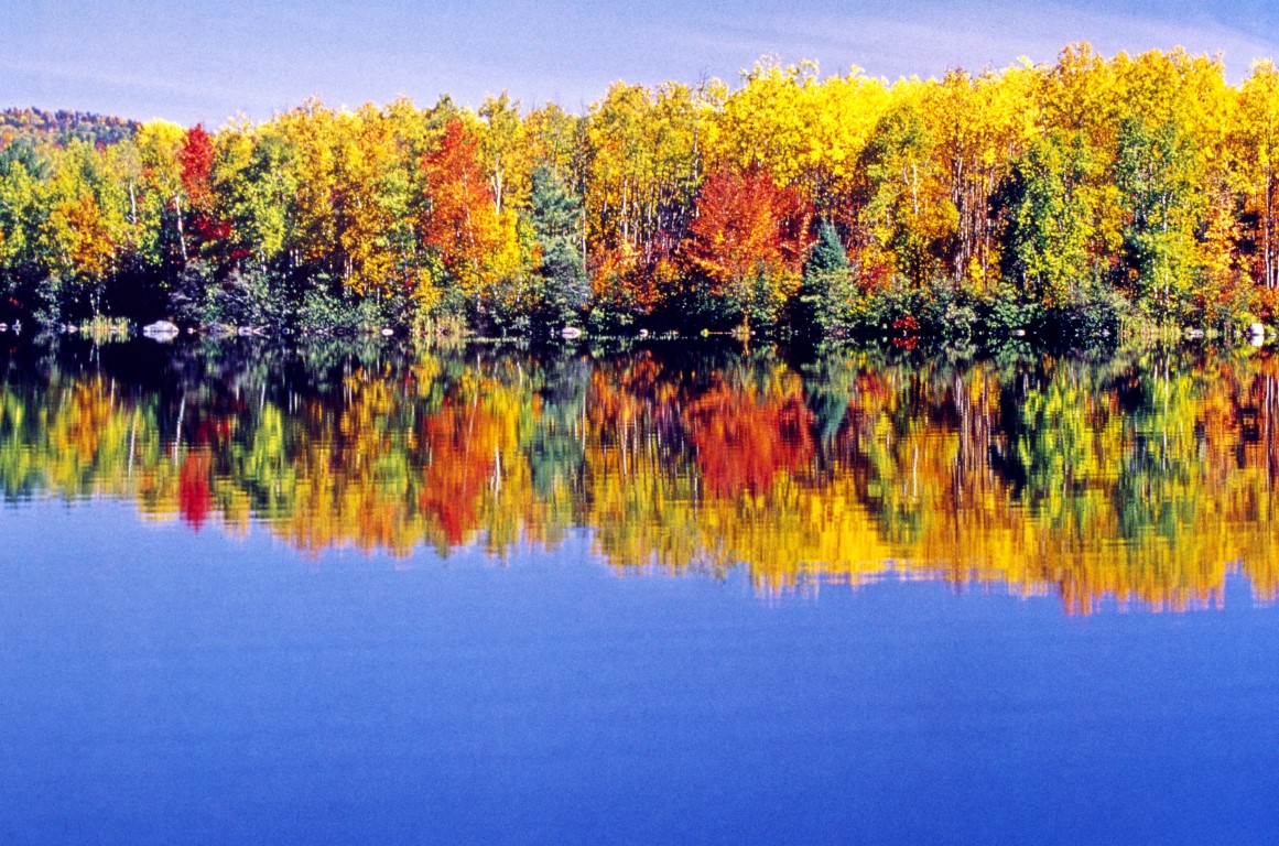 Herbstfarben in Ontario, Kanada. Indian summer colors in Ontario, Canada